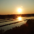 Coucher de soleil sur les marais salant